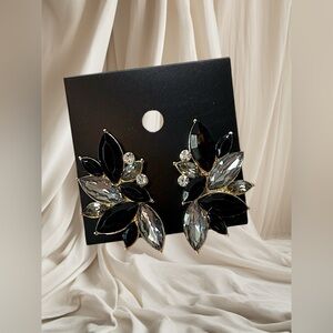 Elegant Black and Silver Crystal Earrings